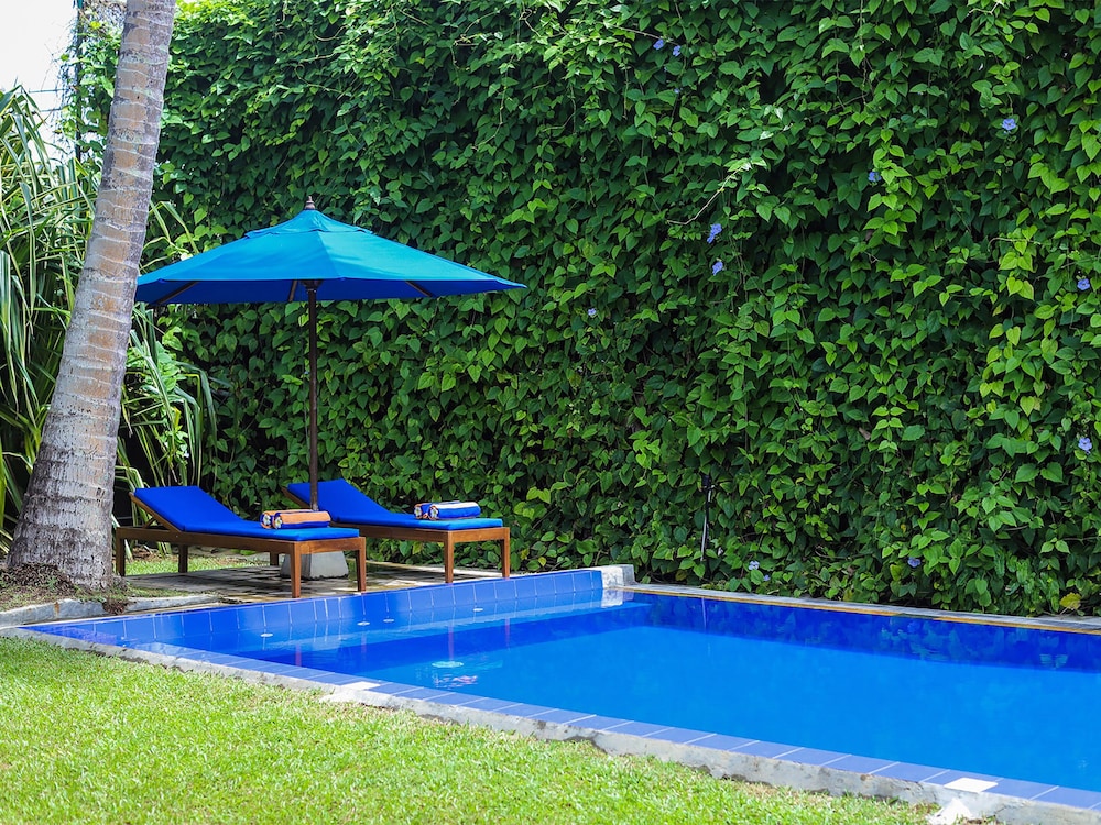 saffron and blue by elite havens