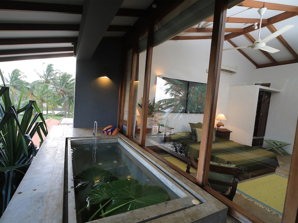 saffron and blue by elite havens