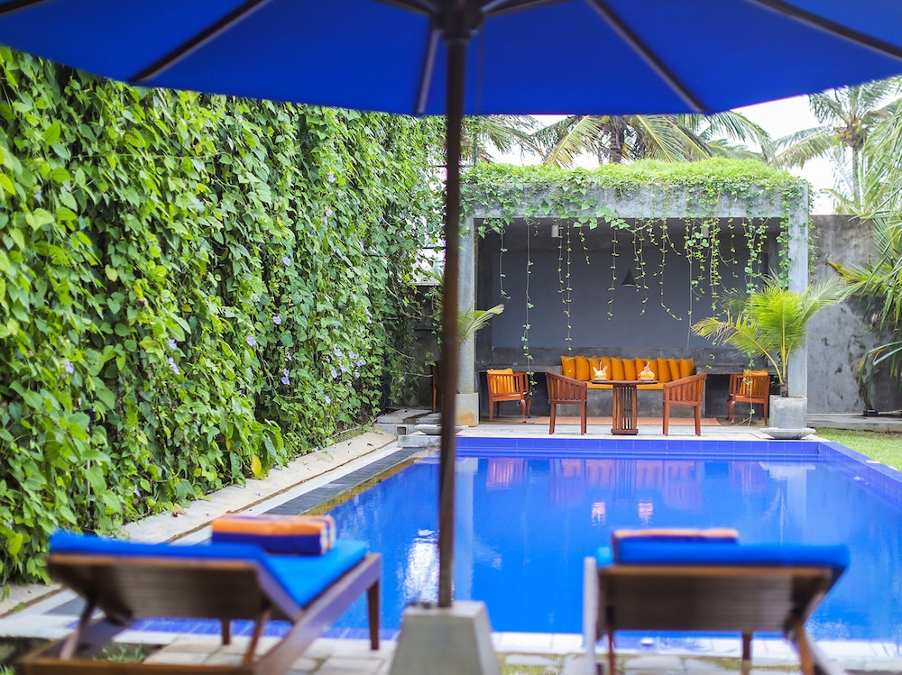 saffron and blue by elite havens