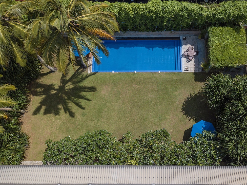 saffron and blue by elite havens