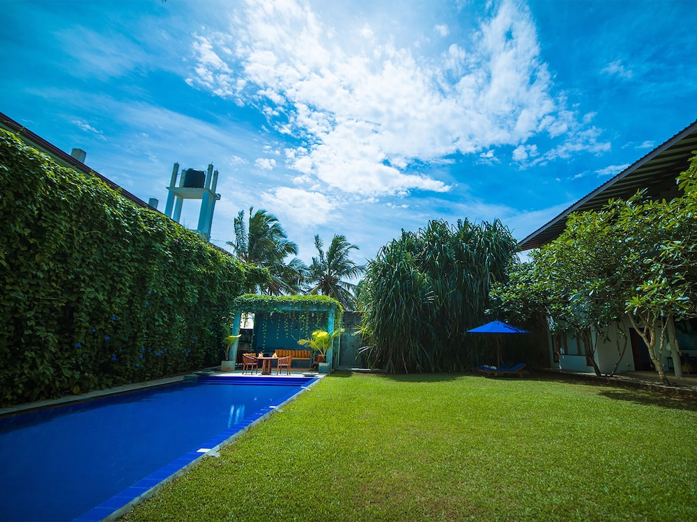 saffron and blue by elite havens