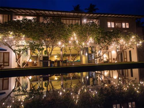 saffron and blue by elite havens