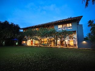 saffron and blue by elite havens