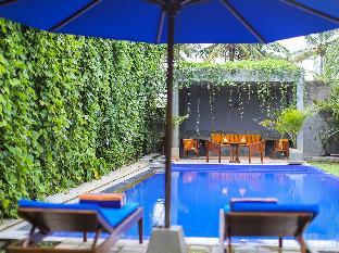 saffron and blue by elite havens