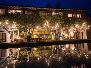 saffron and blue by elite havens