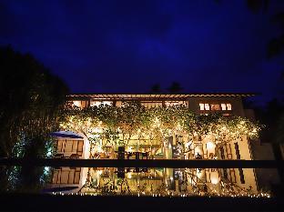 saffron and blue by elite havens