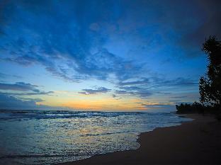 saffron and blue by elite havens