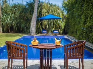 saffron and blue by elite havens