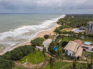 saffron and blue by elite havens