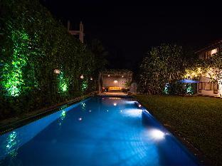 saffron and blue by elite havens