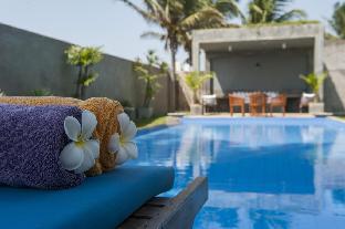 saffron and blue by elite havens