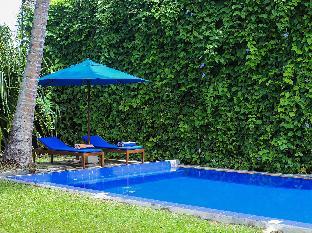 saffron and blue by elite havens