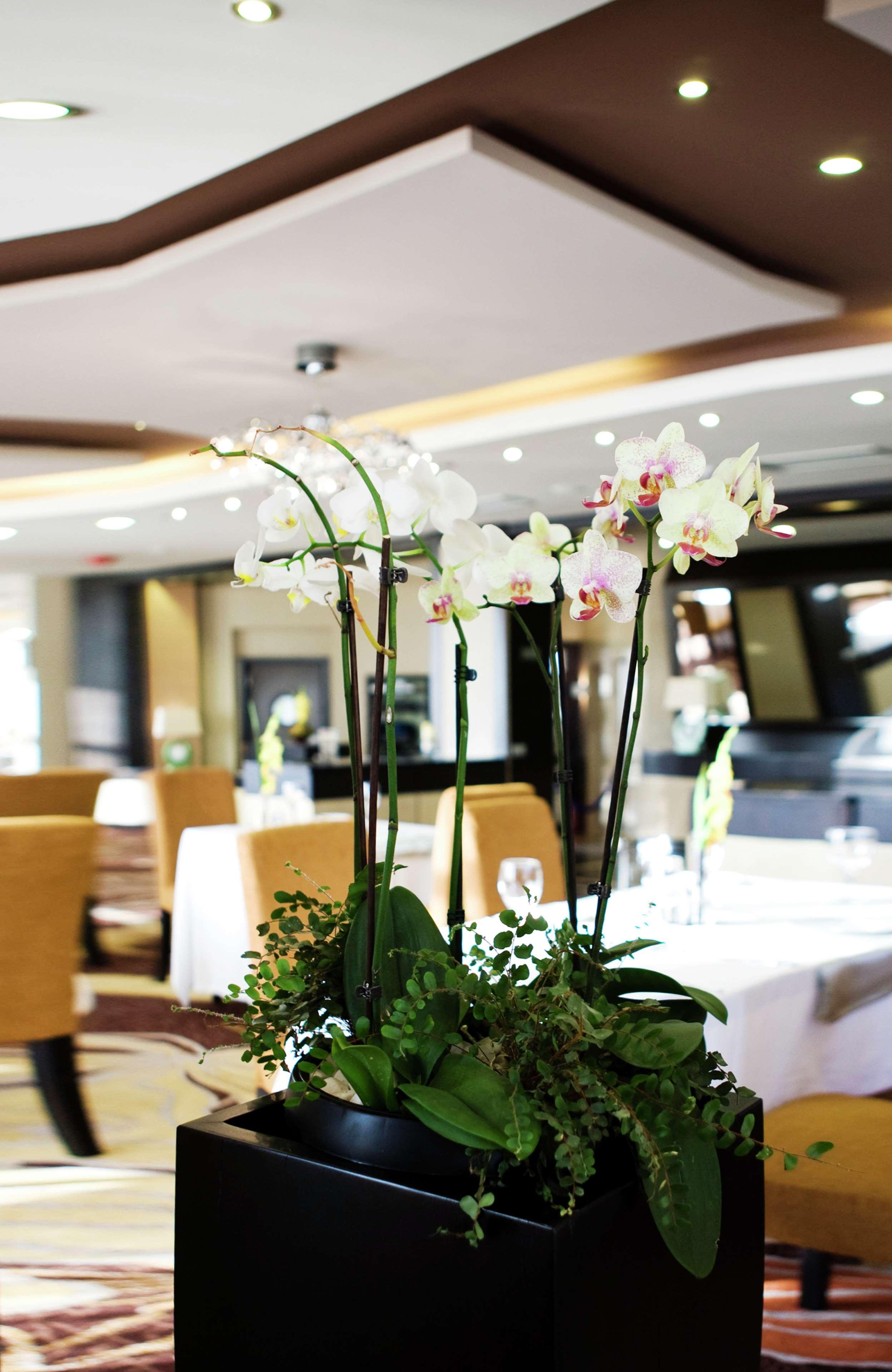 bucharest unirii square handritten collection