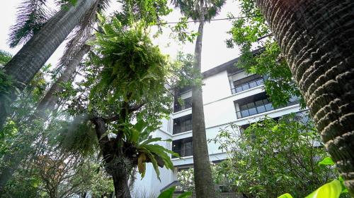 sareeviengping hotel chiangmai