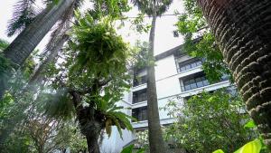 sareeviengping hotel chiangmai
