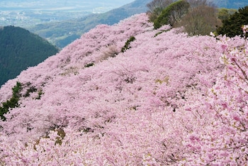 paysage moriguchi