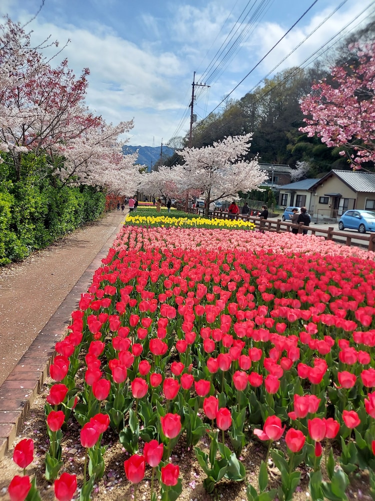 paysage moriguchi