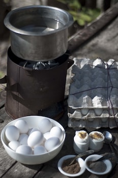 pashan garh panna national park