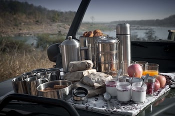 pashan garh panna national park