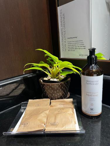 mercure chiang mai