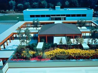 costa rica bibione aparthotel