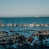 grand koper