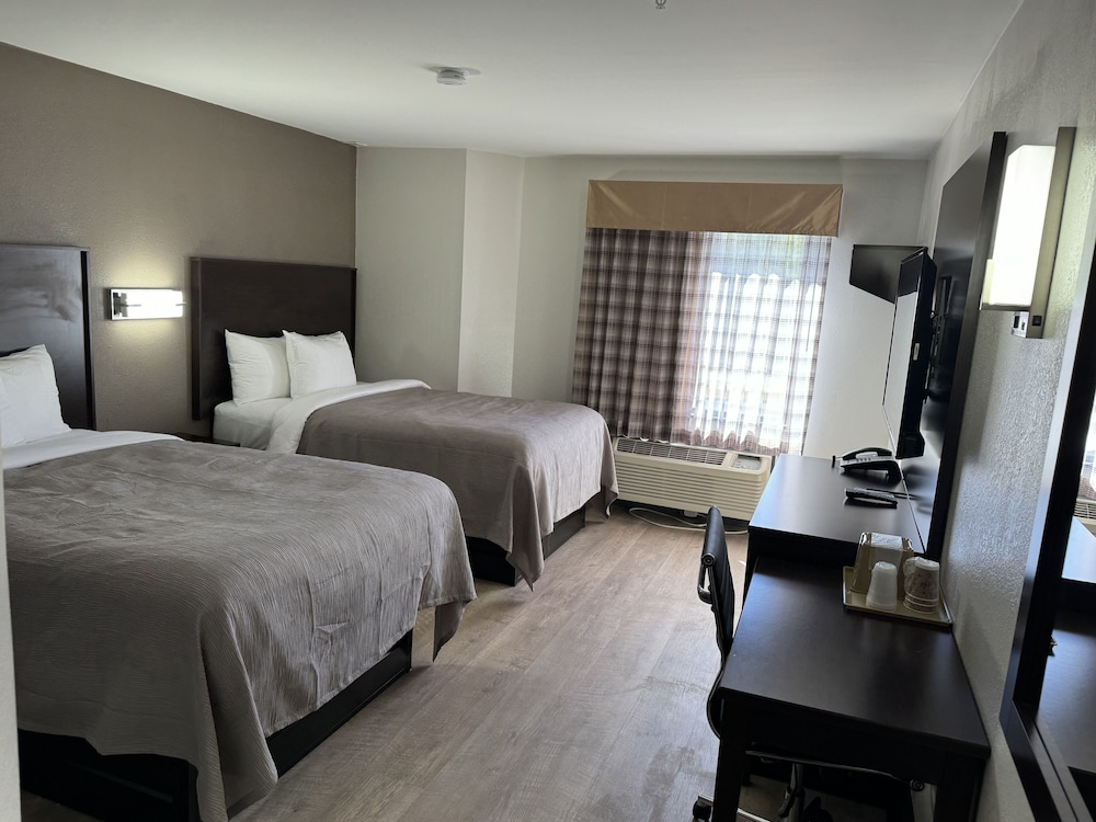 quality inn