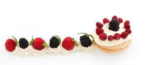 hotel weber ambassador