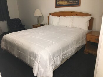 travelers inn carlin nv near elko