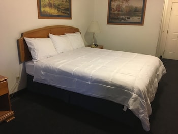 travelers inn carlin nv near elko