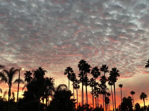 holiday inn express hotel and suites carlsbad beach by ihg