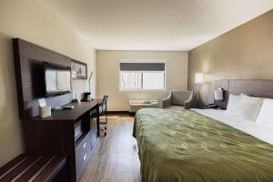 quality inn