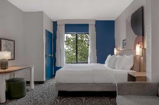 spark by hilton montgomery eastchase