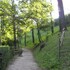 monforte dalba