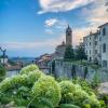 monforte dalba