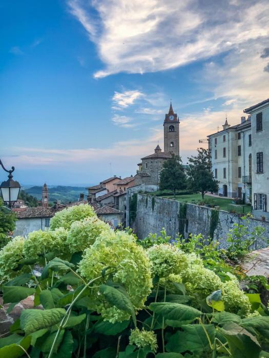 monforte dalba