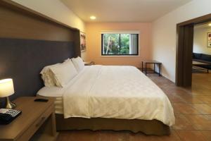 holiday inn ciudad del carmen by ihg