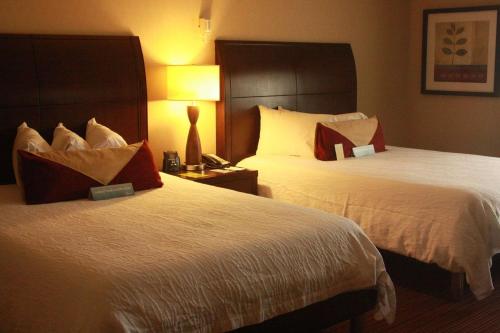 hilton garden inn clovis