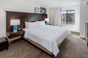 staybridge suites colorado springs north by ihg
