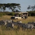 maasai mara