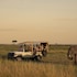 maasai mara