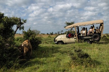 maasai mara