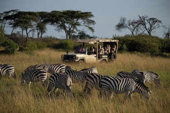 maasai mara