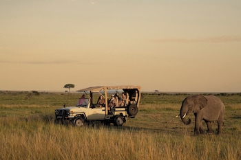 maasai mara