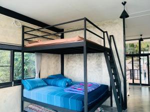 phongtang garden hill homestay