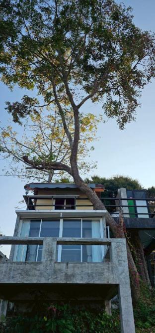 phongtang garden hill homestay