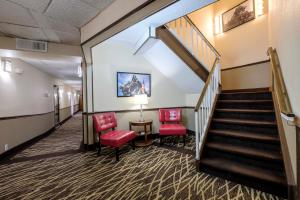 red roof inn and suites jacksonville nc