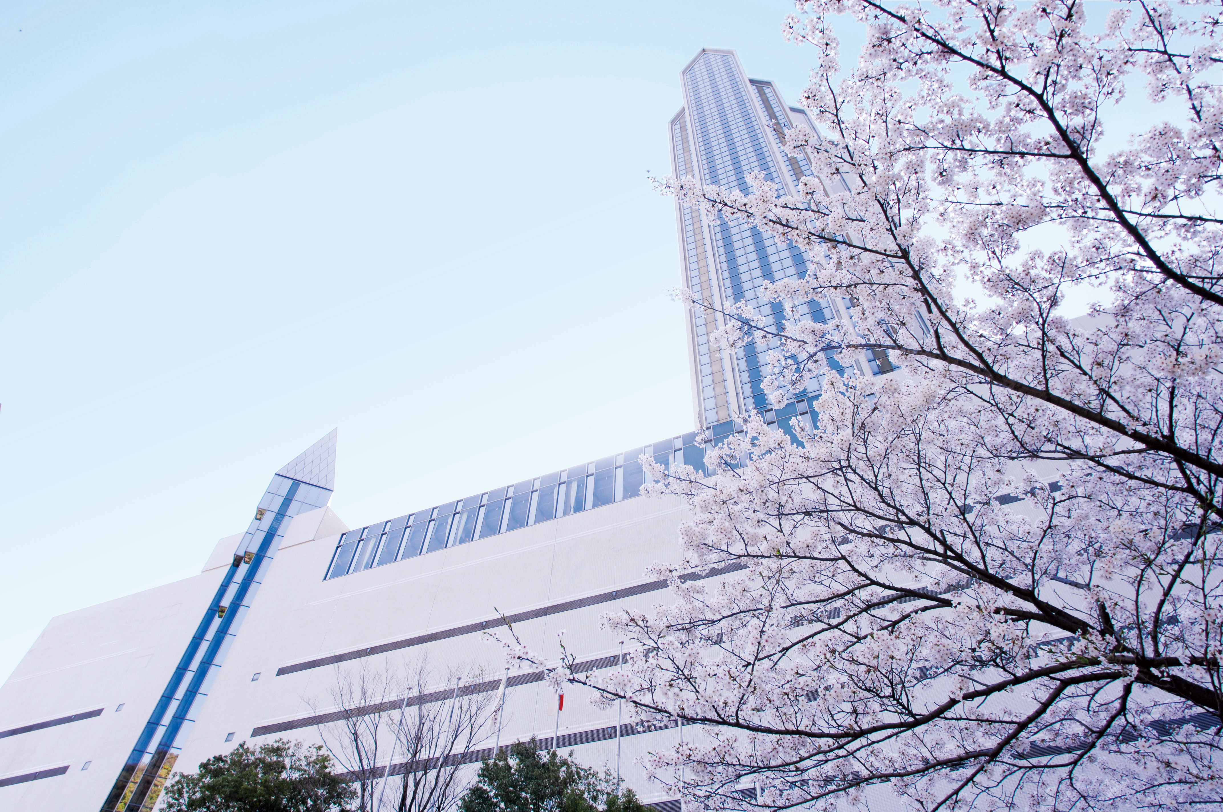 ana crowne plaza kobe by ihg