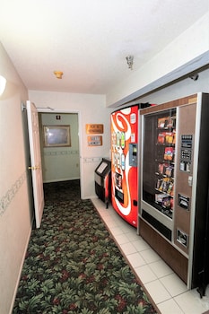 mountain host motor inn