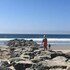 sand castle inn